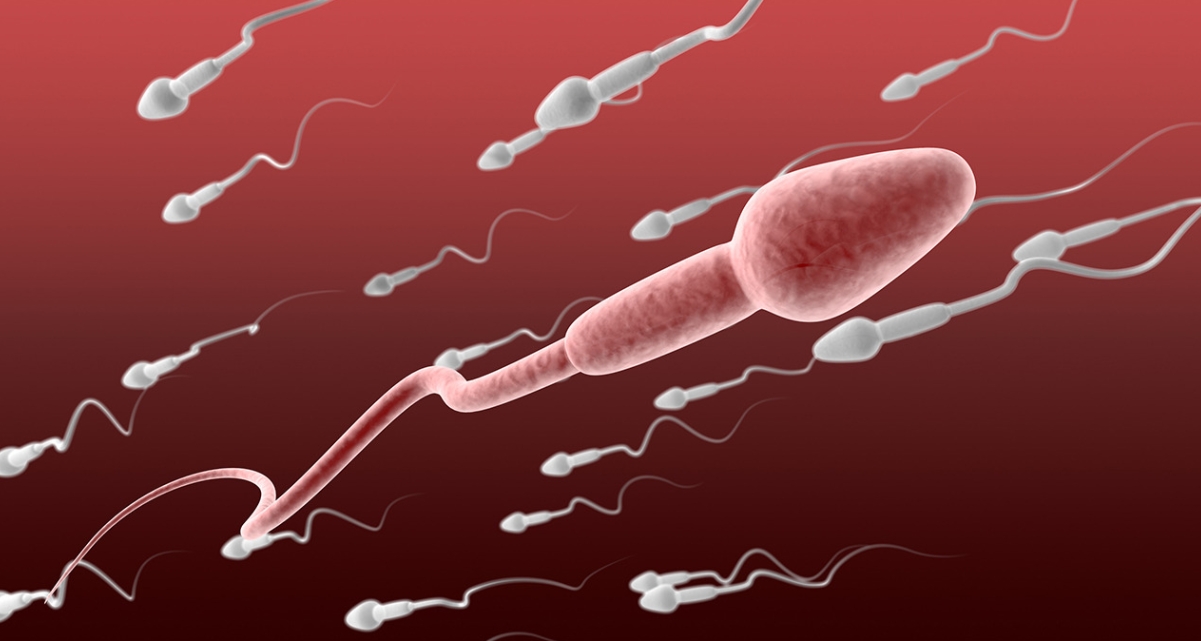 备孕梦到精子与卵子的相遇有什么寓意.png