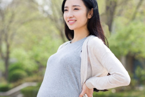 怀孕早期如何预测胎儿性别准？.png